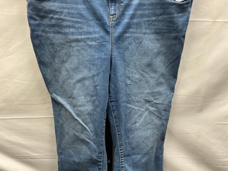 Blue Denim Jeans Skinny Torrid, Size 24 Discount