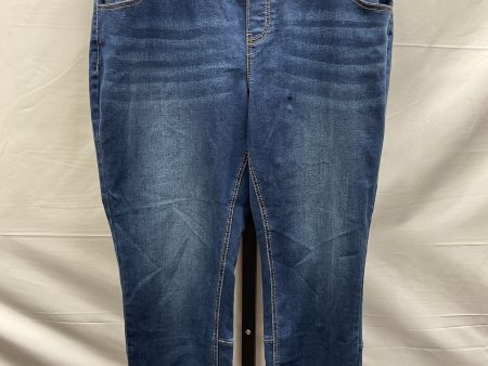 Blue Denim Jeans Skinny Cato, Size 16 Online Hot Sale