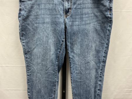 Blue Denim Jeans Skinny Sonoma, Size 18 Online Sale