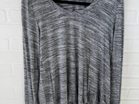 Tunic Long Sleeve By Soft Surroundings In Grey, Size: S Fashion