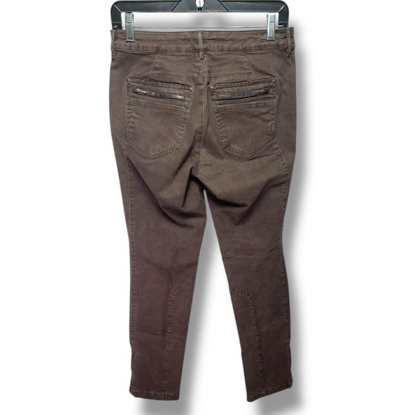 Motorcycle Pants By Peruvian Connection In Brown, Size: 4 Online