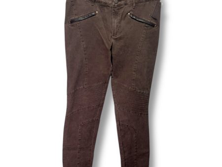 Motorcycle Pants By Peruvian Connection In Brown, Size: 4 Online