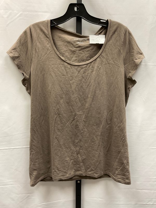 Brown Top Short Sleeve Basic Ann Taylor, Size L on Sale