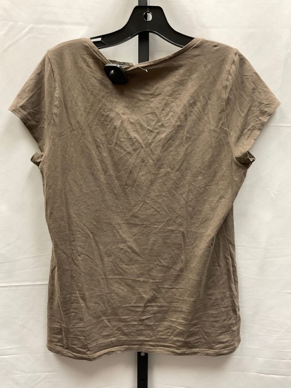 Brown Top Short Sleeve Basic Ann Taylor, Size L on Sale