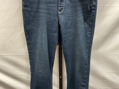 Blue Denim Jeans Skinny St Johns Bay, Size 16 For Sale